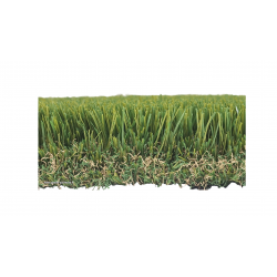 BARIPLUS 52 mm ( 2024 )