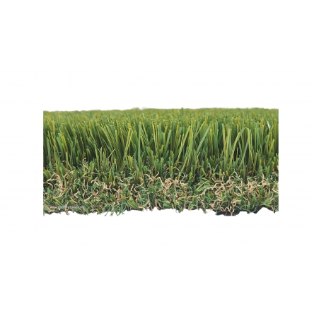 BARIPLUS 52 mm ( 2024 )